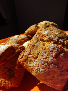 i_want_to_sleep_in_a_biscuit_by_violon_rouge