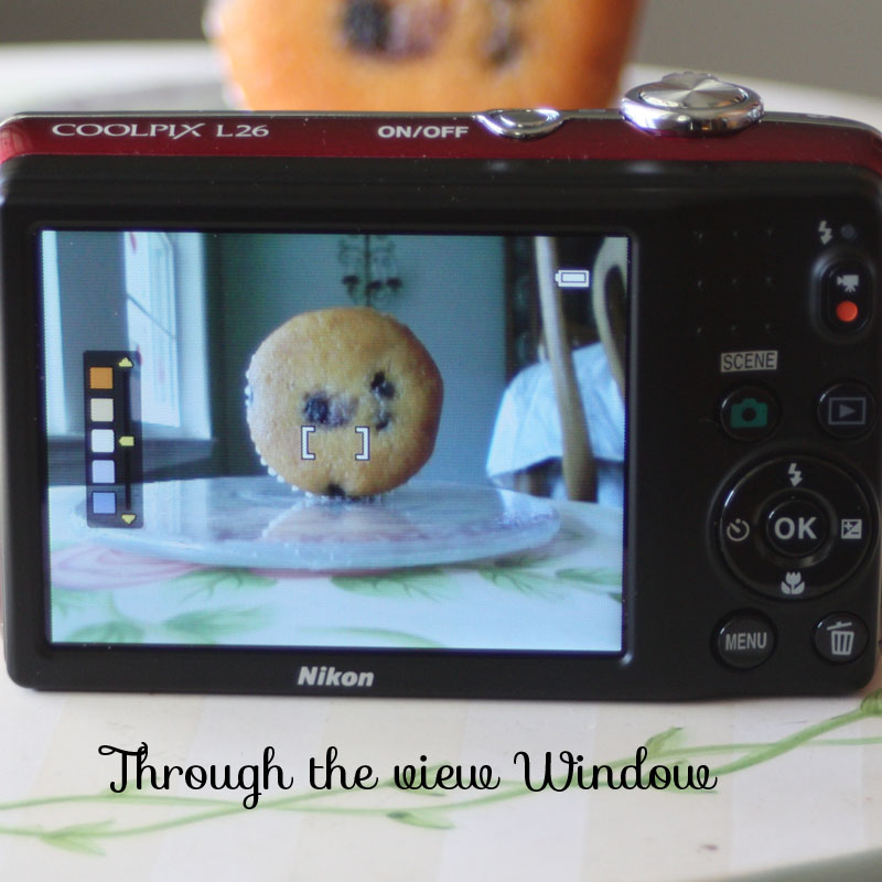Nikon-ViewWindow-DWR