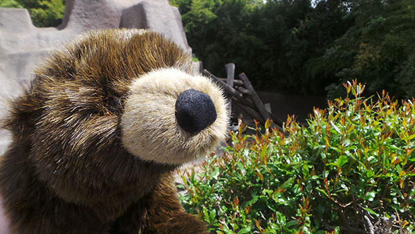 Disneynature -Amber - LA Zoo