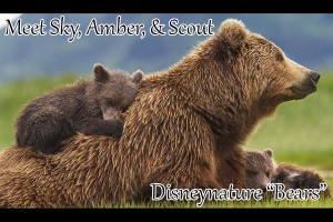 Disneynature Bears